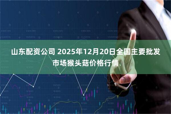 山东配资公司 2025年12月20日全国主要批发市场猴头菇价格行情