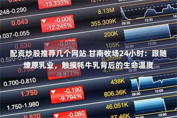 配资炒股推荐几个网站 甘南牧场24小时：跟随燎原乳业，触摸牦牛乳背后的生命温度